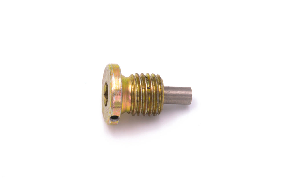 Magnetic Plug Screw