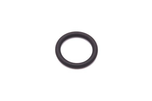 Cylinder O-Ring (Large)